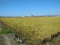DSCN2876