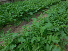 DSCN2885