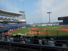 DSCN2598