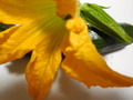 DSCN2595