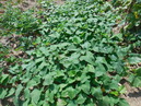 DSCN2607