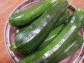 DSCN2593