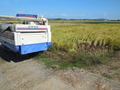 DSCN2874