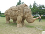 DSCN2649