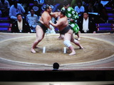 DSCN2604