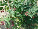 DSCN2608