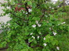 DSCN2799