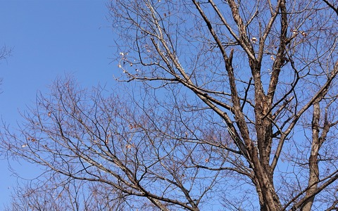 2月の空