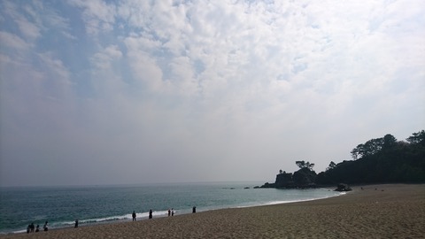 桂浜②