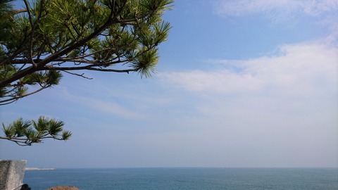 桂浜①