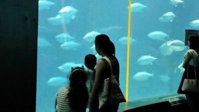 20150816_160911