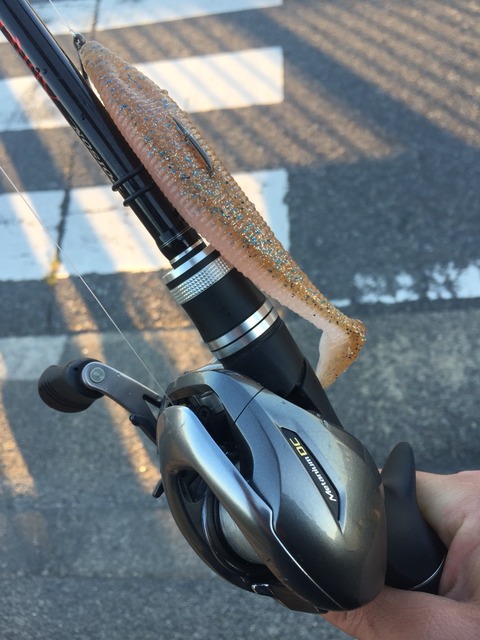 ポイズンアドレナ1610MとメタニウムDC : 琵琶湖まで徒歩五分 ポイズンアドレナ1610MとメタニウムDC : 琵琶湖まで徒歩五分