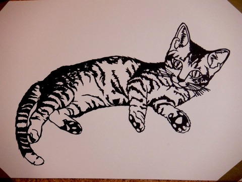 猫(大)1