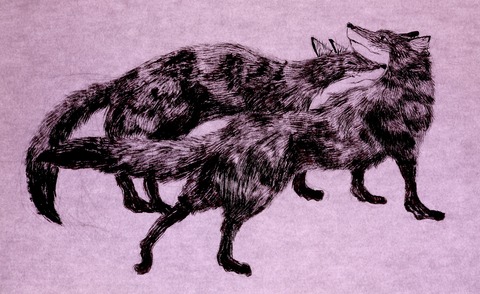 キツネ