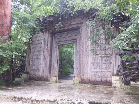 DSCF1881