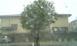 1af5ec97.jpg