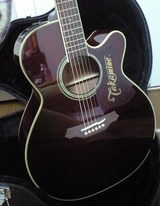 GOW guitar