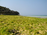 yoron4