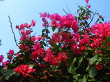 yoron2