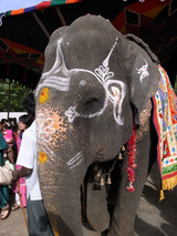 India 2008 241