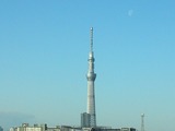 東京の空色はちょと色が悪い