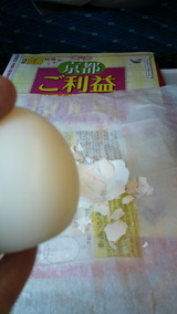 3f432648.jpg