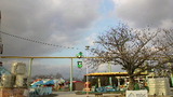 4caa212f.jpg