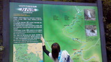 a6846385.jpg