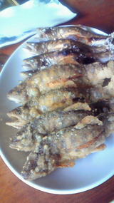 f7557f66.jpg
