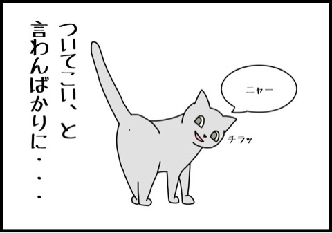 {EF36F01D-4187-4202-9100-06D8C73A6FA2:01}
