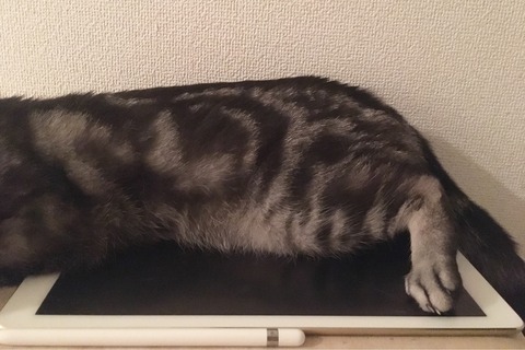 FullSizeRender