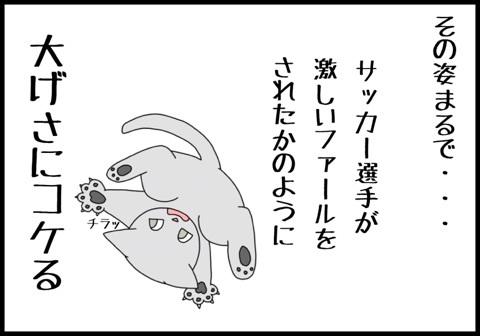 {205D4FD0-0D9B-4DE4-A439-6B0303597773:01}
