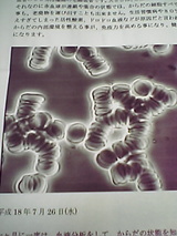 4c97a11f.jpg