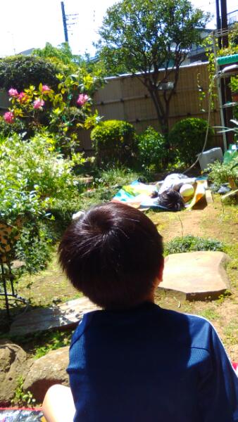 KIMG2816_20170507061002