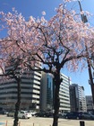 2015-03-26-13-21-58
