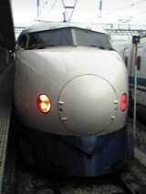 954f4384.jpg