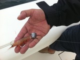 テンヤ