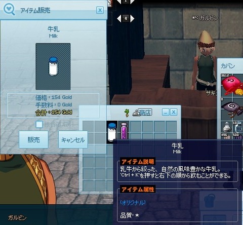 mabinogi_2013_01_13_013