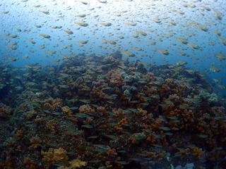 nenbutu2