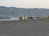 P1040933