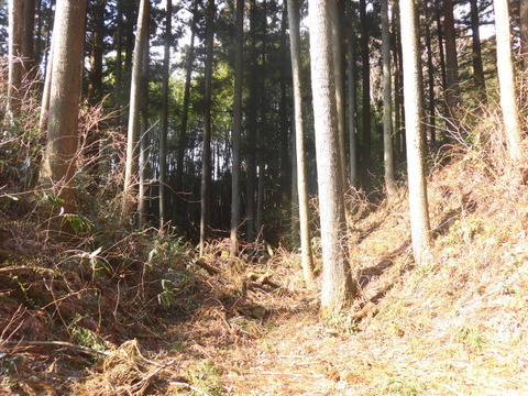 CIMG0280