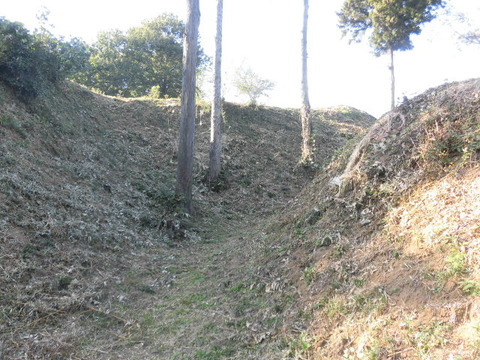 CIMG7457