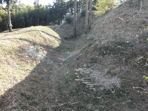 CIMG7544