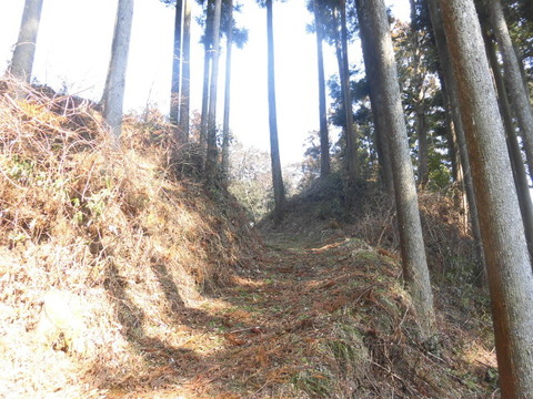 CIMG0281