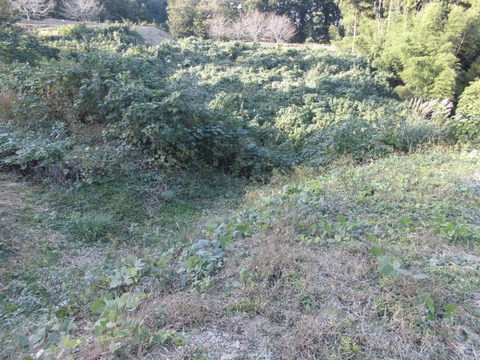 CIMG7551