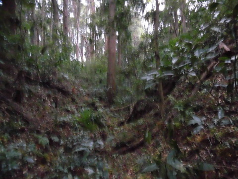 CIMG4133