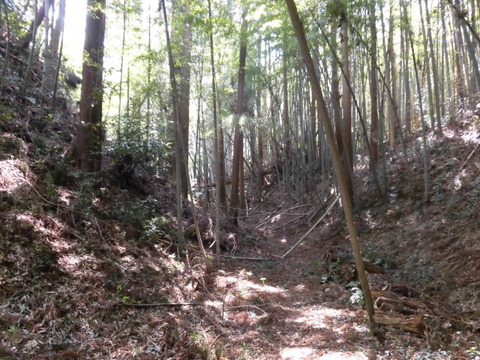 CIMG0532
