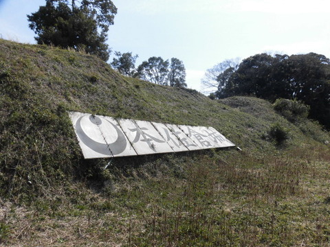 CIMG0555