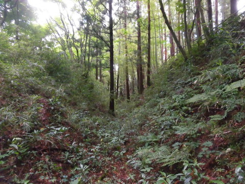 CIMG0286
