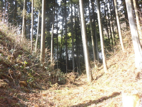 CIMG0295